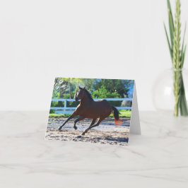 Pferdeschein/Glückwunschkarte 5 Karte