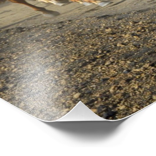 Pferdeschild Fotodruck (Ecke)