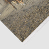 Pferdeschildpapier Seidenpapier (Ausschnitt)