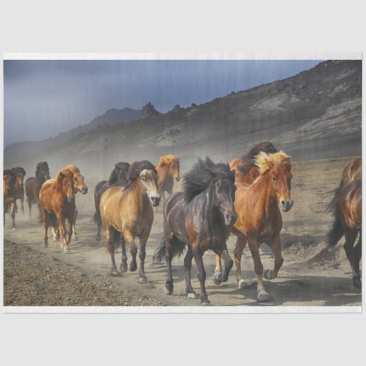 Pferdeschildpapier Seidenpapier (Vorderseite)