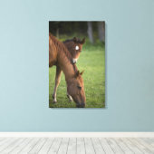 Pferdeschimmel und Kalt auf dem Feld Leinwanddruck (Insitu (Holzboden))