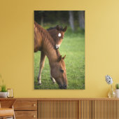 Pferdeschimmel und Kalt auf dem Feld Leinwanddruck (Insitu (Wohnzimmer))