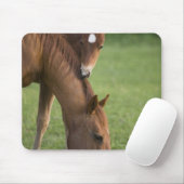 Pferdeschimmel und Kalt auf dem Feld Mousepad (Mit Mouse)