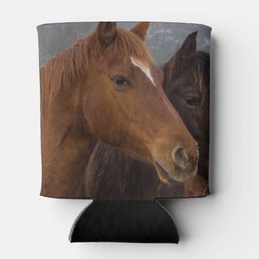 Pferdeschlachten Dosenkühler (Rückseite)