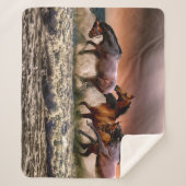 Pferdeschlitten bei Sonnenuntergang im Ozean Sherpadecke (Vorderseite)