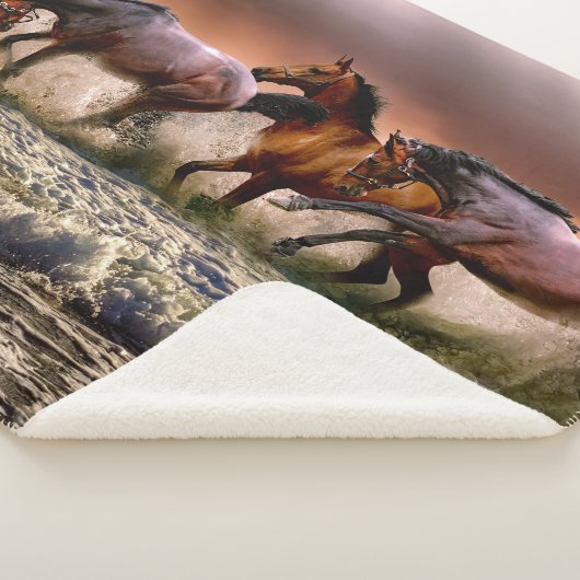 Pferdeschlitten bei Sonnenuntergang im Ozean Sherpadecke (3/4)