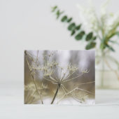 Pferdeschlitten Postkarte (Stehend Vorderseite)