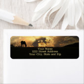 Pferdeschlitten Sonnenaufgang Schöne Natur (Insitu)