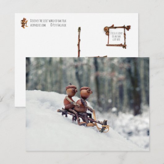 Pferdeschlittenfahrt auf der Postkarte (Vorne/Hinten)