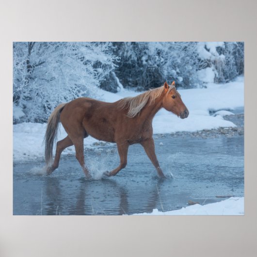 Pferdeschlittenfahrt im Winter auf Hideout Ranc Poster (Vorne)