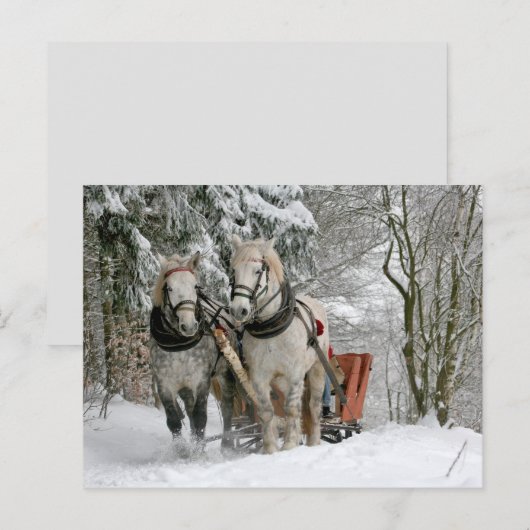 Pferdeschlittenkarte Postkarte (Vorne/Hinten)