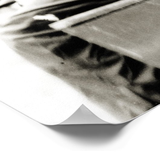 Pferdeschnecken Poster (Ecke)