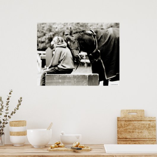 Pferdeschnecken Poster (Küche)