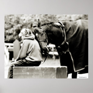 Pferdeschnecken Poster