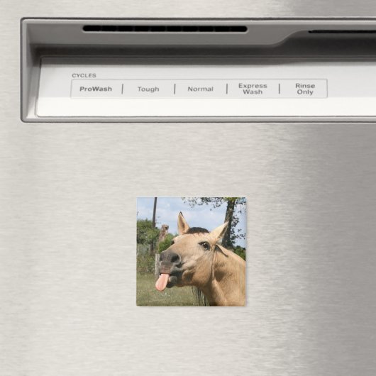 Pferdeschneemagnet Magnet (In Situ (Geschirrspüler))