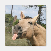 Pferdeschneemagnet Magnet (Vorne)