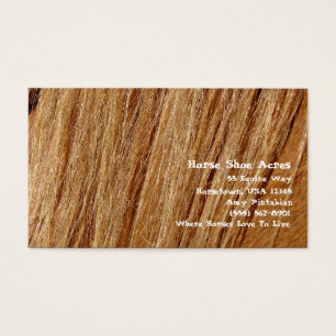 Pferdeschuh Acres Sorrel Mane