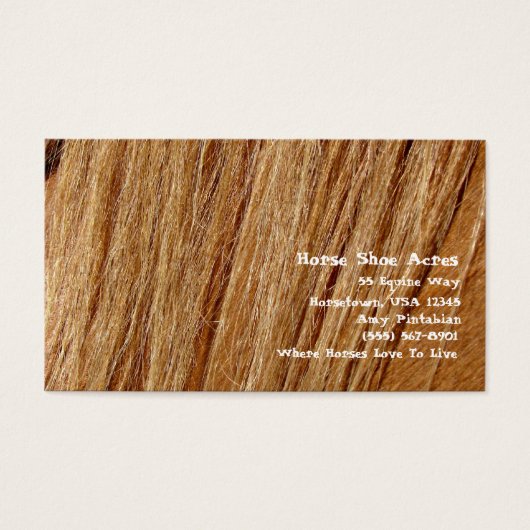 Pferdeschuh Acres Sorrel Mane (Vorderseite)