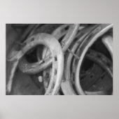 Pferdeschuhdrucke Poster (Vorne)