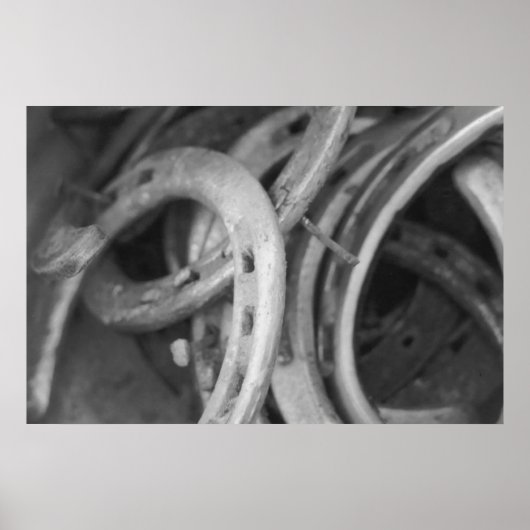 Pferdeschuhdrucke Poster (Vorne)