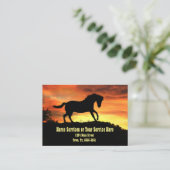 Pferdeschulungsmaterial - Serviceleistungen - Ausb Visitenkarte (Stehend Vorderseite)