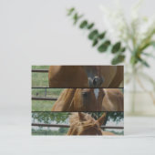 Pferdeschuss Postkarte (Stehend Vorderseite)