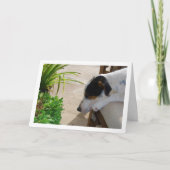 Pferdeschwal Karte (Vorderseite)