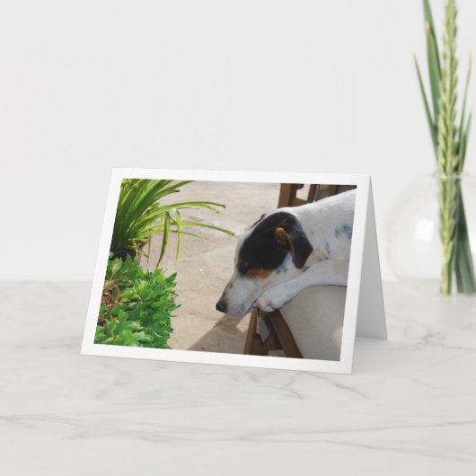 Pferdeschwal Karte (Vorderseite)