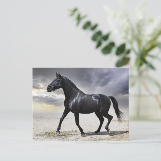 Pferdeschwalbe - Hallo, danke, Liebe Postkarte (Stehend Vorderseite)