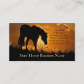 Pferdeservice oder Pferdearzt Visitenkarte (Vorderseite)
