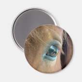 Pferdesicht Magnet (Vorderseite/Rückseite)