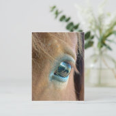 Pferdesicht Postkarte (Stehend Vorderseite)