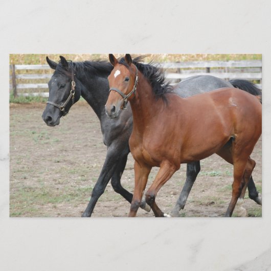 Pferdespiel Briefpapier (Vorderseite)