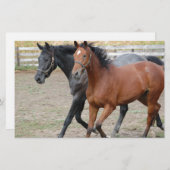 Pferdespiel Briefpapier (Vorne/Hinten)