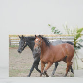 Pferdespiel Briefpapier (Stehend Vorderseite)