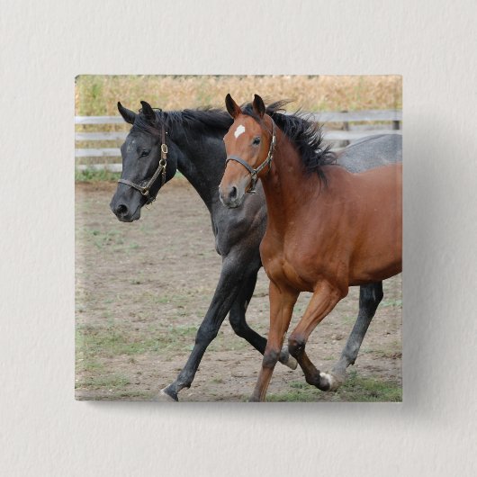 Pferdespiel Button (Vorderseite)