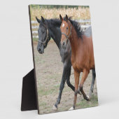 Pferdespiel Fotoplatte (Seite)