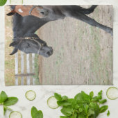 Pferdespiel Geschirrtuch (Gefaltet)