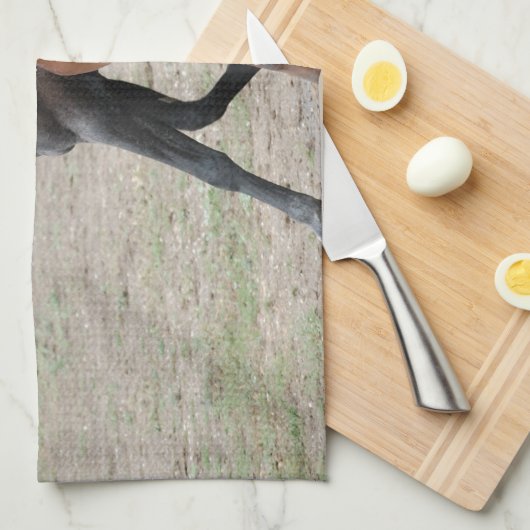 Pferdespiel Geschirrtuch (Viertel Falte)