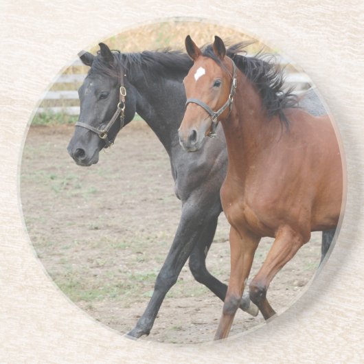 Pferdespiel Getränkeuntersetzer (Vorne)