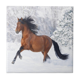 Pferdespiel im Schnee Fliese