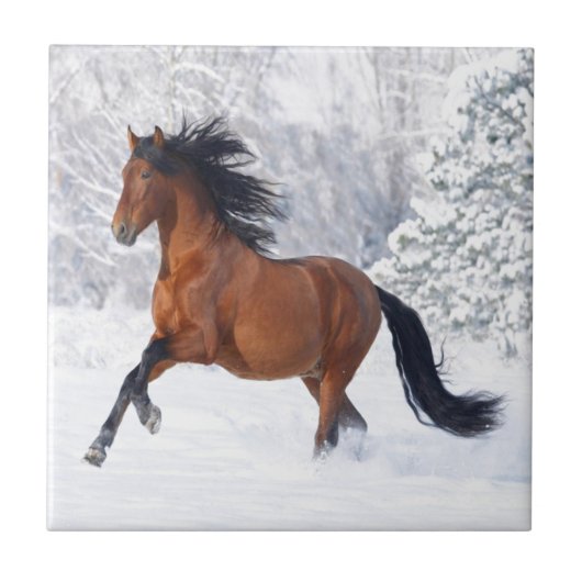 Pferdespiel im Schnee Fliese (Vorderseite)
