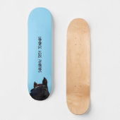 PFERDESPIEL Skateboard (Vorderseite)