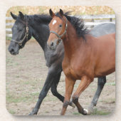 Pferdespiel Untersetzer (Vorderseite)