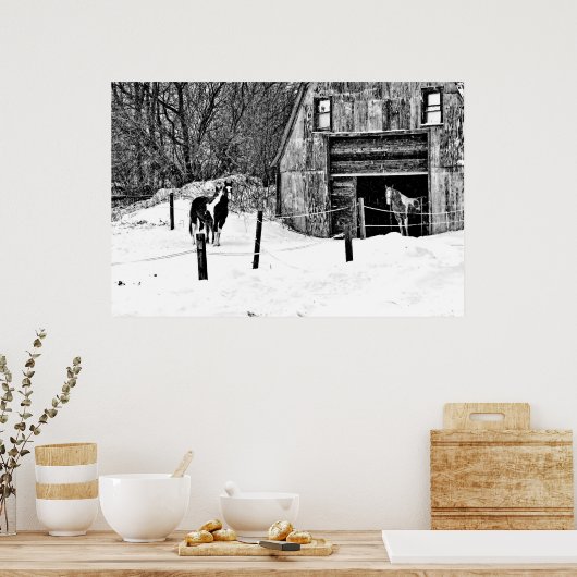 Pferdestall-BW Poster (Küche)
