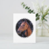 Pferdesterne Postkarte (Stehend Vorderseite)
