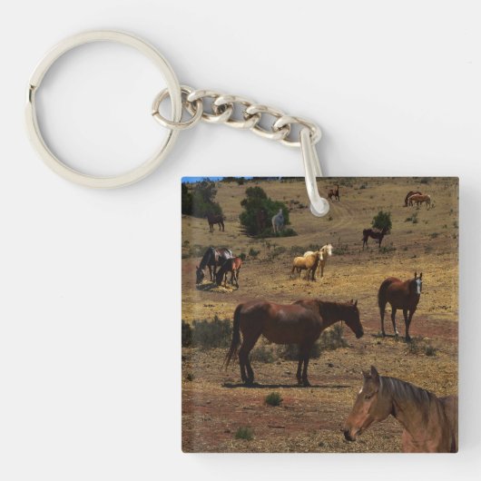 Pferdetal, Schlüsselanhänger (Vorderseite)