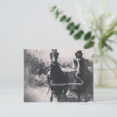 Pferdeteam #Pferde #amish Postkarte (Stehend Vorderseite)