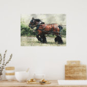 Pferdeteppich Poster (Küche)