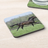 PferdeThoroughbreds, Wassl 1988, Getränkeuntersetzer (Linke Seite)